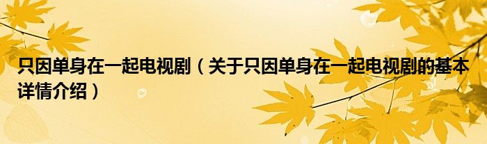只因单身在一起电视剧（关于只因单身在一起电视剧的基本详情介绍）