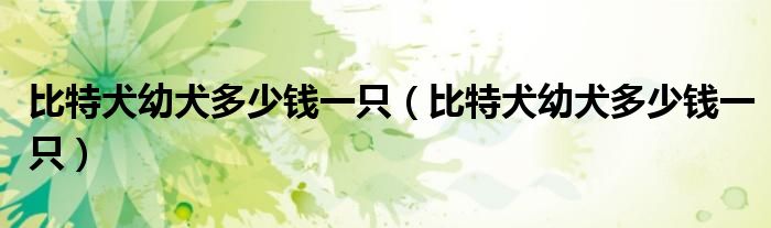 比特犬幼犬多少钱一只（比特犬幼犬多少钱一只）
