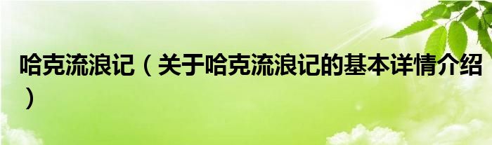哈克流浪记（关于哈克流浪记的基本详情介绍）
