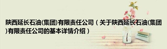 陕西延长石油(集团)有限责任公司（关于陕西延长石油(集团)有限责任公司的基本详情介绍）