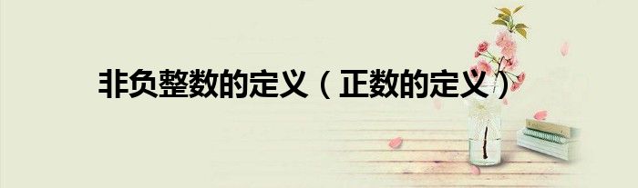 非负整数的定义（正数的定义）