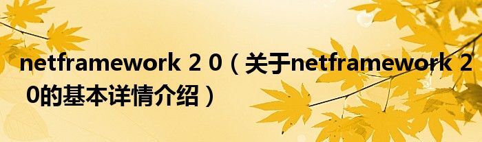netframework 2 0（关于netframework 2 0的基本详情介绍）