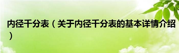 内径千分表（关于内径千分表的基本详情介绍）