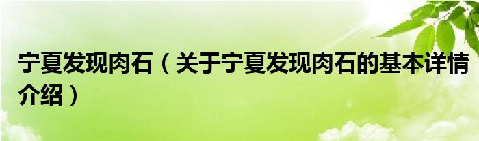 宁夏发现肉石（关于宁夏发现肉石的基本详情介绍）