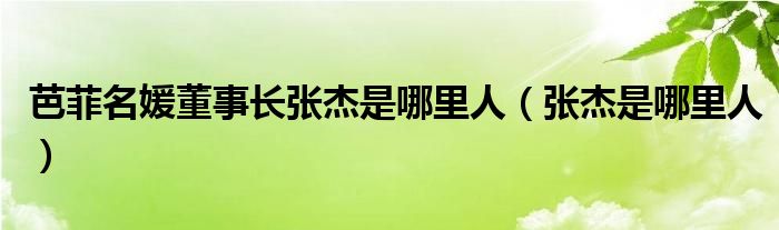 芭菲名媛董事长张杰是哪里人（张杰是哪里人）