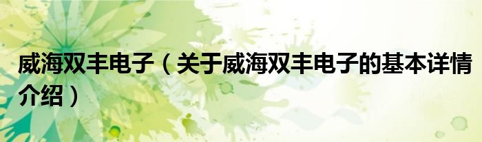 威海双丰电子（关于威海双丰电子的基本详情介绍）