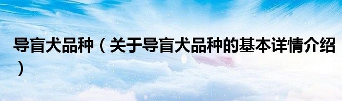 导盲犬品种（关于导盲犬品种的基本详情介绍）