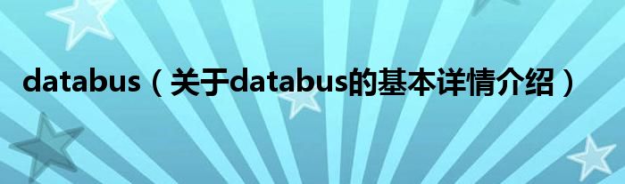 databus（关于databus的基本详情介绍）