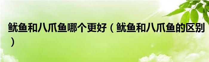鱿鱼和八爪鱼哪个更好（鱿鱼和八爪鱼的区别）