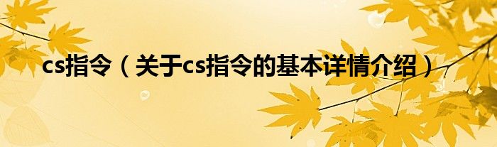 cs指令（关于cs指令的基本详情介绍）