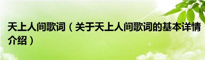 天上人间歌词（关于天上人间歌词的基本详情介绍）