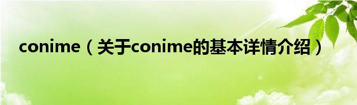 conime（关于conime的基本详情介绍）