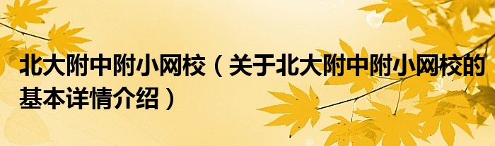 北大附中附小网校（关于北大附中附小网校的基本详情介绍）