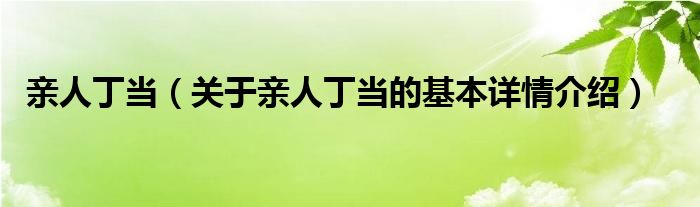 亲人丁当（关于亲人丁当的基本详情介绍）