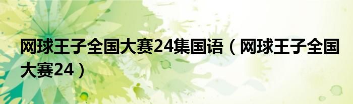 网球王子全国大赛24集国语（网球王子全国大赛24）