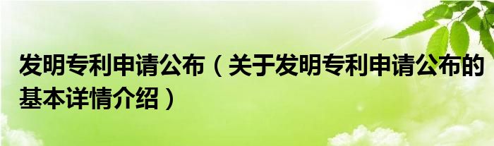 发明专利申请公布（关于发明专利申请公布的基本详情介绍）