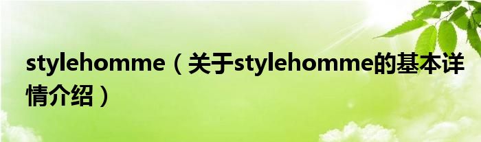 stylehomme（关于stylehomme的基本详情介绍）