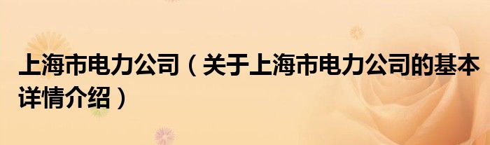 上海市电力公司（关于上海市电力公司的基本详情介绍）