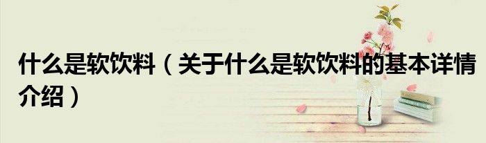什么是软饮料（关于什么是软饮料的基本详情介绍）