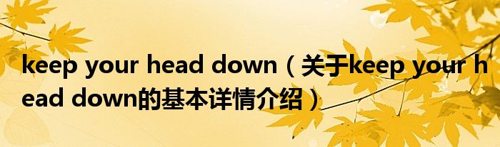 keep your head down（关于keep your head down的基本详情介绍）