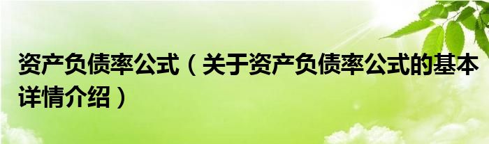 资产负债率公式（关于资产负债率公式的基本详情介绍）