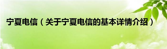 宁夏电信（关于宁夏电信的基本详情介绍）