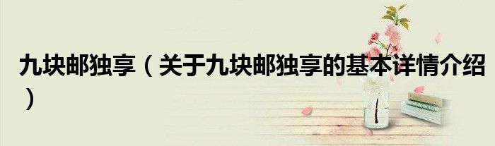 九块邮独享（关于九块邮独享的基本详情介绍）