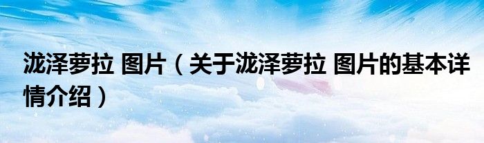 泷泽萝拉 图片（关于泷泽萝拉 图片的基本详情介绍）