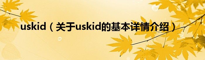 uskid（关于uskid的基本详情介绍）