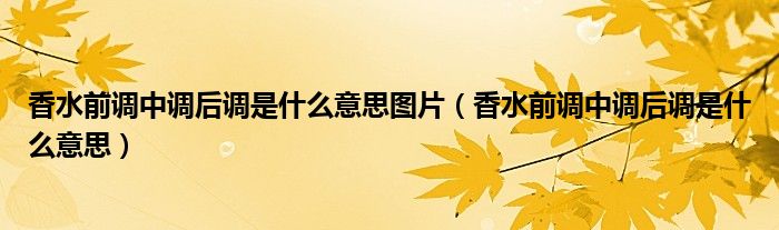 香水前调中调后调是什么意思图片（香水前调中调后调是什么意思）