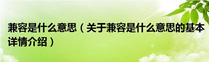 兼容是什么意思（关于兼容是什么意思的基本详情介绍）