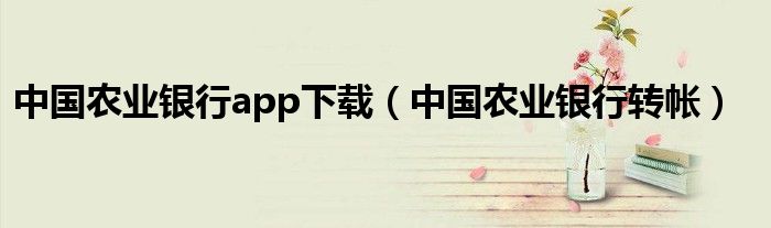 中国农业银行app下载（中国农业银行转帐）