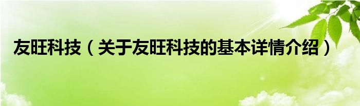 友旺科技（关于友旺科技的基本详情介绍）