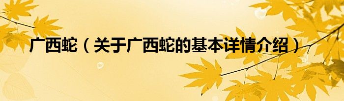广西蛇（关于广西蛇的基本详情介绍）