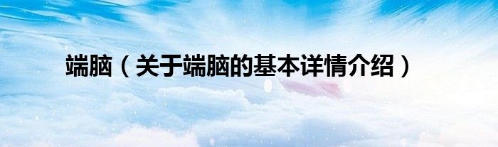 端脑（关于端脑的基本详情介绍）