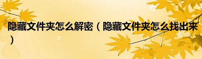 隐藏文件夹怎么解密（隐藏文件夹怎么找出来）