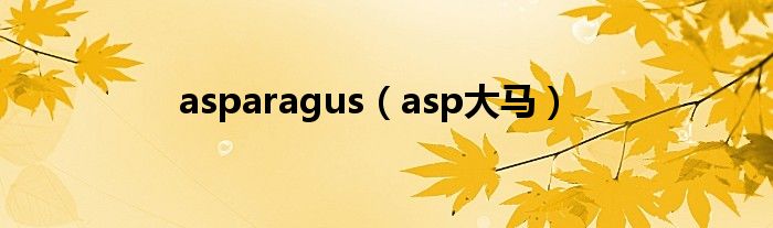 asparagus（asp大马）