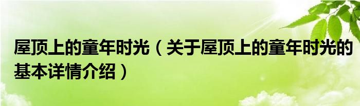 屋顶上的童年时光（关于屋顶上的童年时光的基本详情介绍）