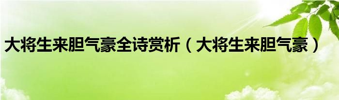 大将生来胆气豪全诗赏析（大将生来胆气豪）