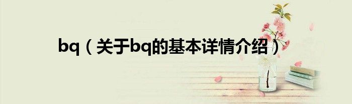 bq（关于bq的基本详情介绍）