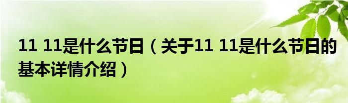 11 11是什么节日（关于11 11是什么节日的基本详情介绍）