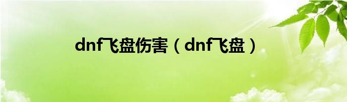 dnf飞盘伤害（dnf飞盘）