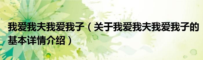 我爱我夫我爱我子（关于我爱我夫我爱我子的基本详情介绍）