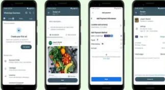 WhatsApp Business应用程序获得了轻松吸引更多客户的工具