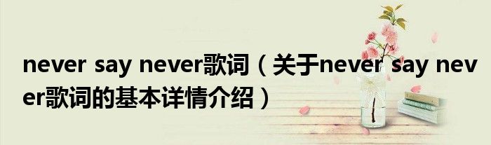 never say never歌词（关于never say never歌词的基本详情介绍）