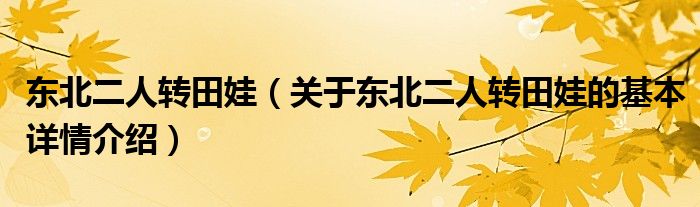 东北二人转田娃（关于东北二人转田娃的基本详情介绍）