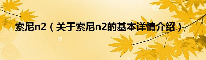 索尼n2（关于索尼n2的基本详情介绍）