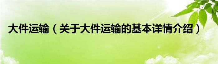 大件运输（关于大件运输的基本详情介绍）