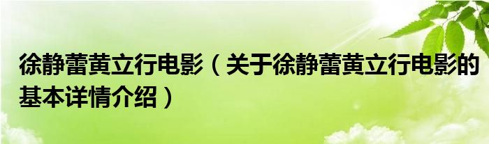 徐静蕾黄立行电影（关于徐静蕾黄立行电影的基本详情介绍）