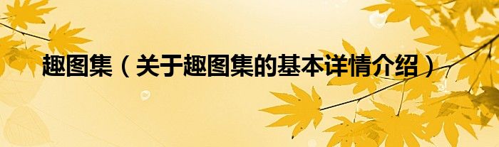 趣图集（关于趣图集的基本详情介绍）